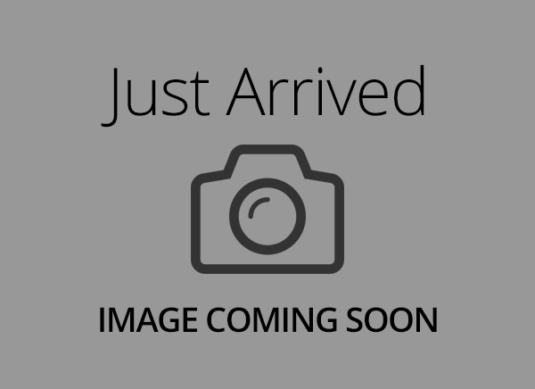Teddy Bear – 31799