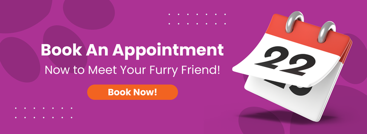 Book online appointment banner
