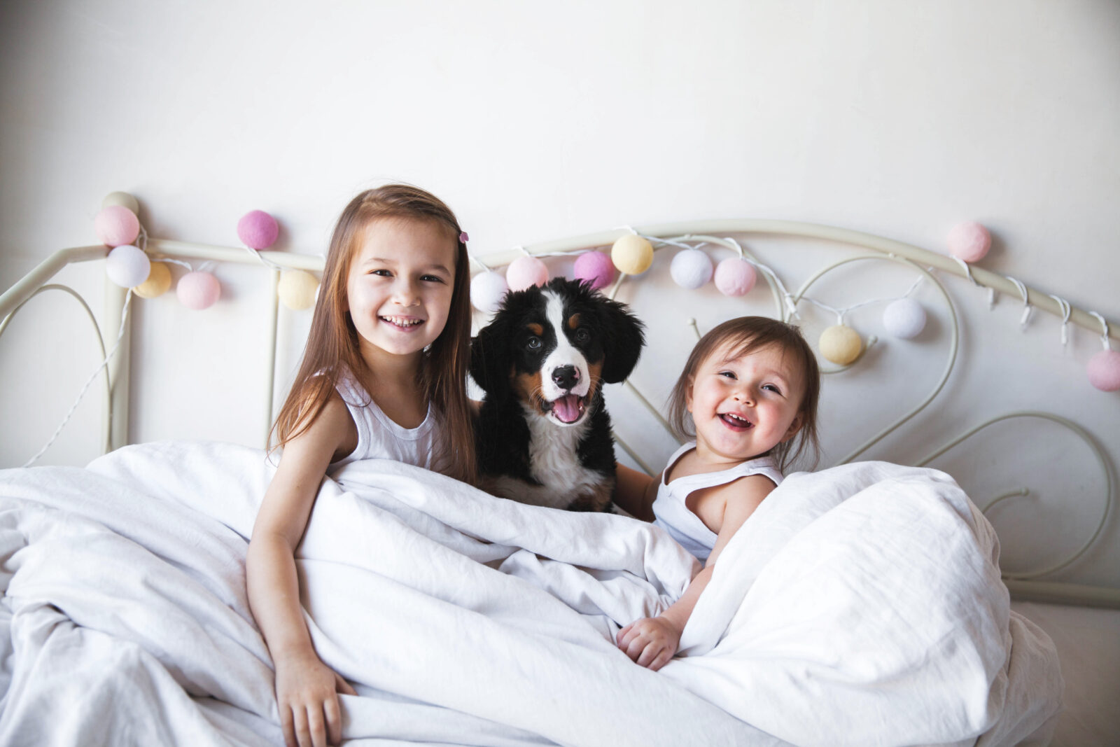 Let Us Help You Find Your Puppy Match banner