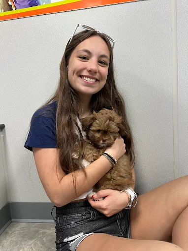 A visitor holding a brown puppy at Petland